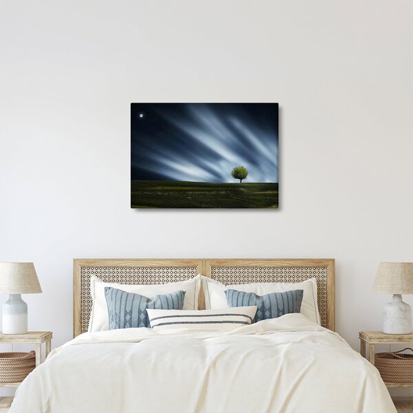 Obraz zorzy polarnej nad wrzosowiskami (70x50 cm)