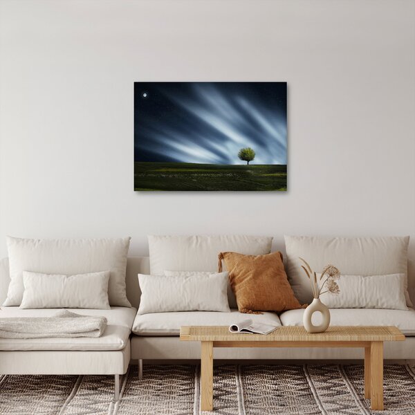 Obraz zorzy polarnej nad wrzosowiskami (70x50 cm)
