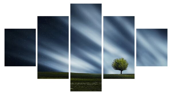 Obraz zorzy polarnej nad wrzosowiskami (125x70 cm)