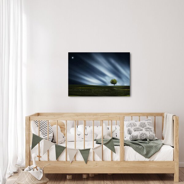 Obraz zorzy polarnej nad wrzosowiskami (70x50 cm)