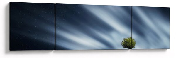 Obraz zorzy polarnej nad wrzosowiskami (170x50 cm)