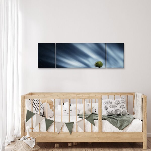 Obraz zorzy polarnej nad wrzosowiskami (170x50 cm)