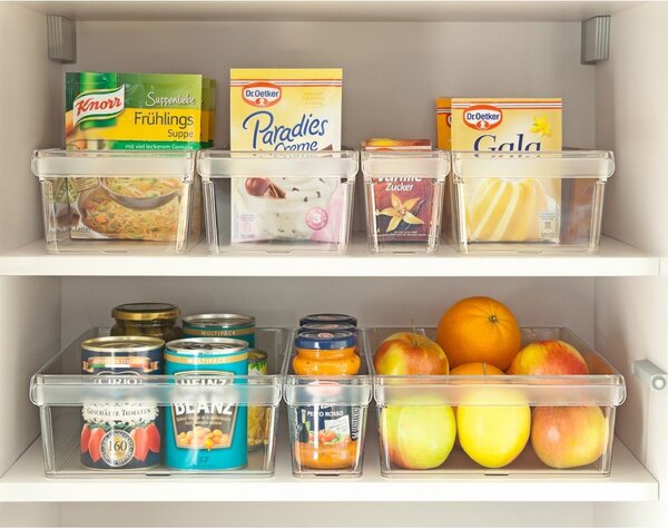 Plastikowy organizer do lodówki 1,6 l Loft – Rotho