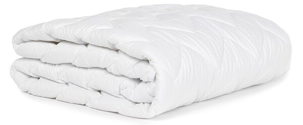 Ochraniacz na materac 120x200 cm Protect – Bonami Essentials