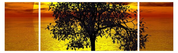 Obraz sylwetki drzewa (170x50 cm)