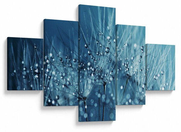 Obraz - Krople rosy (125x70 cm)