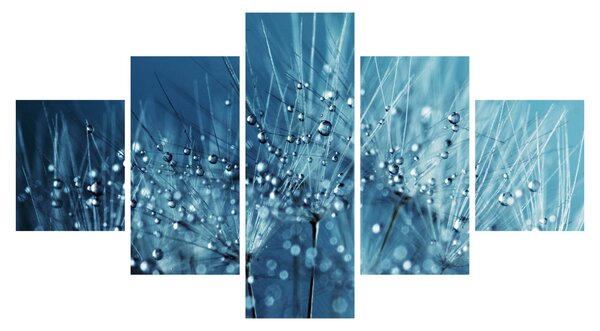 Obraz - Krople rosy (125x70 cm)