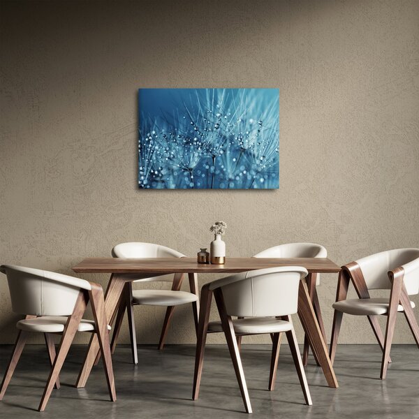 Obraz - Krople rosy (70x50 cm)