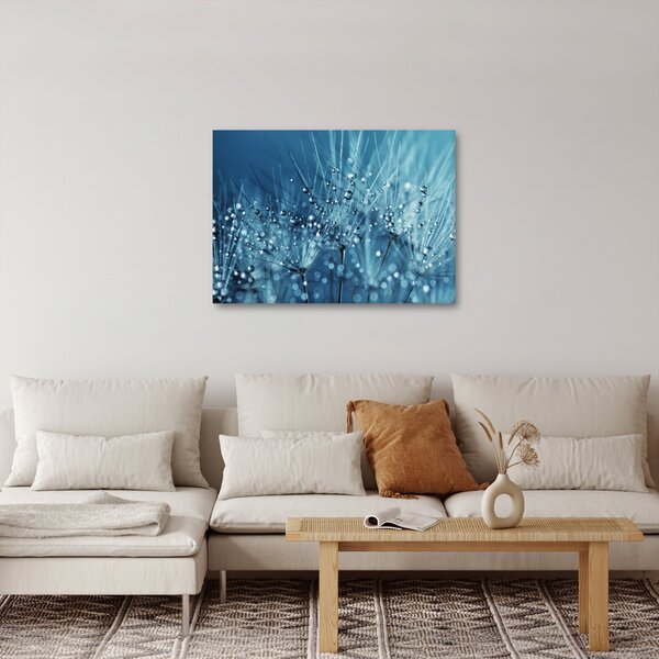 Obraz - Krople rosy (70x50 cm)
