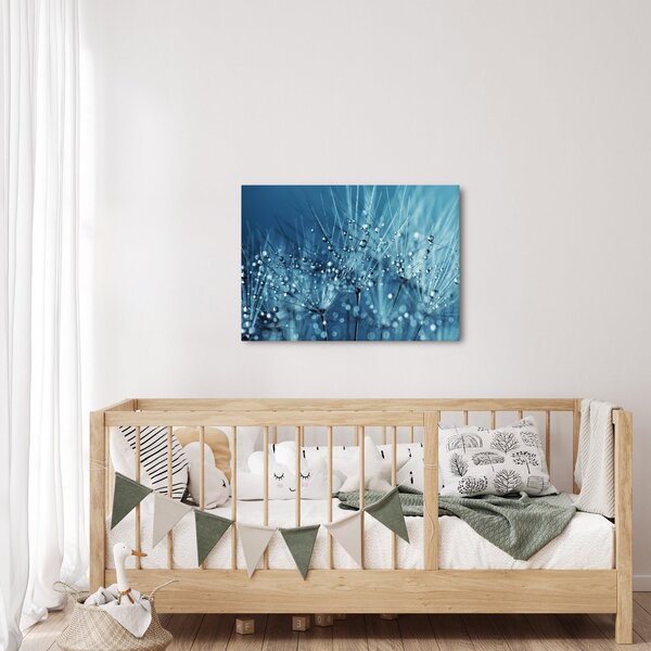 Obraz - Krople rosy (70x50 cm)