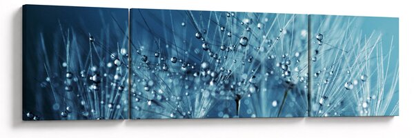 Obraz - Krople rosy (170x50 cm)