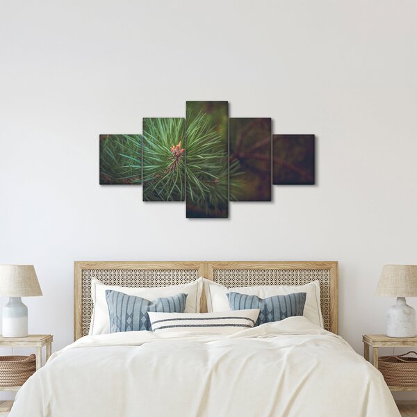 Obraz - Detal sosny (125x70 cm)