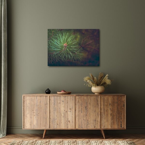 Obraz - Detal sosny (70x50 cm)