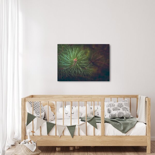Obraz - Detal sosny (70x50 cm)