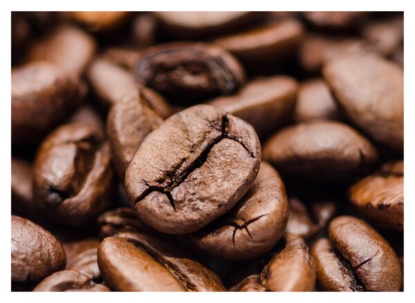 Obraz ziaren kawy (70x50 cm)