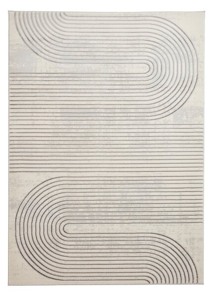Jasnoszaro-kremowy dywan 80x150 cm Apollo – Think Rugs