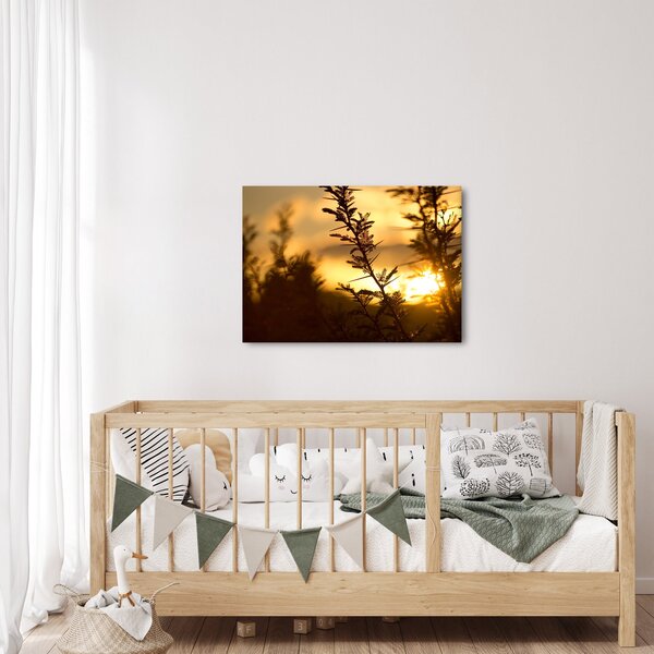 Obraz - słońce zachodzące za drzewami (70x50 cm)