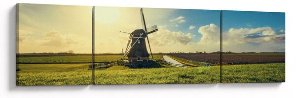 Obraz - Wiatrak (170x50 cm)