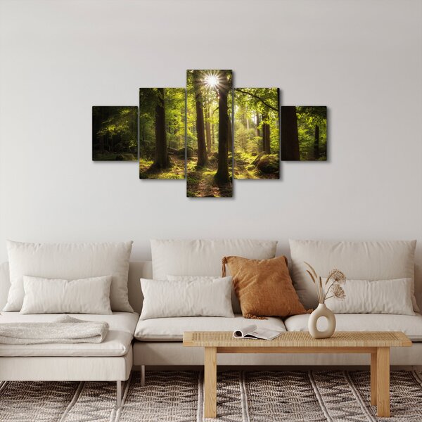 Obraz sennego lasu (125x70 cm)