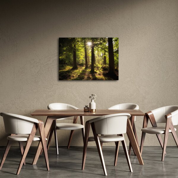 Obraz sennego lasu (70x50 cm)