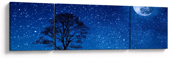 Obraz wilka wyjącego do księżyca (170x50 cm)