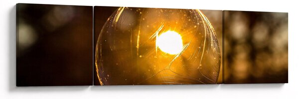 Obraz - Przezroczysta bańka (170x50 cm)