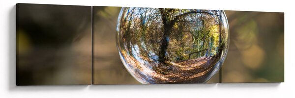 Obraz - Odbicie w szklanej kuli (170x50 cm)