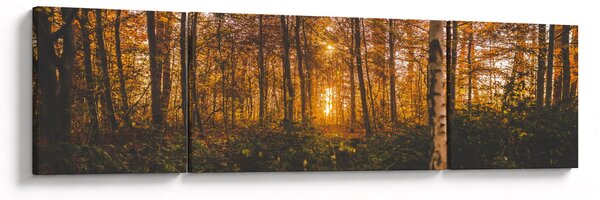 Obraz jesiennego lasu (170x50 cm)