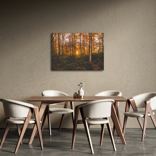 Obraz jesiennego lasu (70x50 cm)