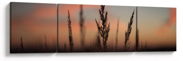Obraz - Sylwetka rośliny (170x50 cm)