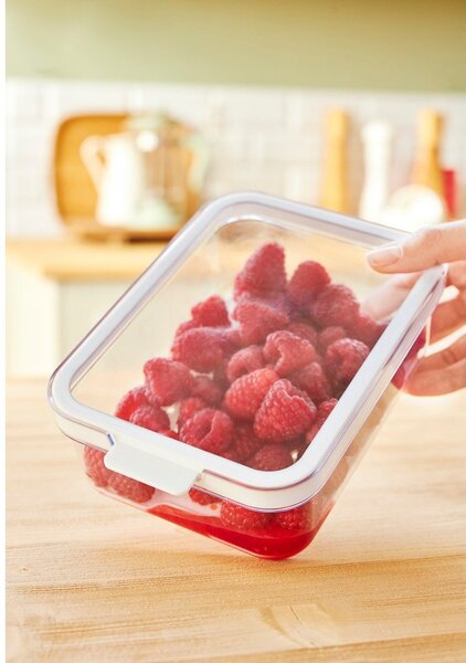 Plastikowy organizer do lodówki Cauma – Rotho