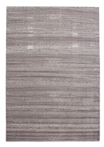 Beżowy dywan 80x150 cm Plus – Ayyildiz Carpets