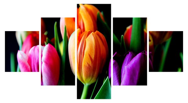 Obraz tulipanów na czarnym tle (125x70 cm)