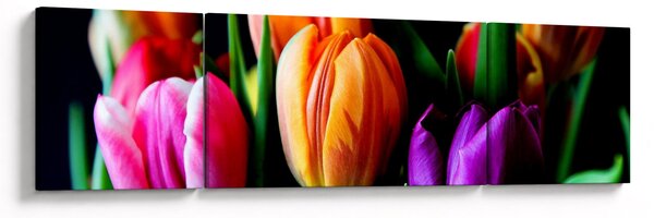 Obraz tulipanów na czarnym tle (170x50 cm)