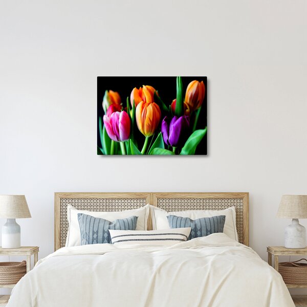 Obraz tulipanów na czarnym tle (70x50 cm)