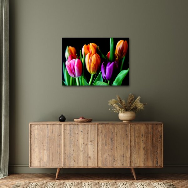 Obraz tulipanów na czarnym tle (70x50 cm)