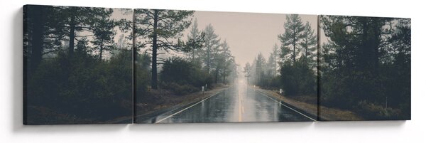 Obraz drogi w deszczu (170x50 cm)