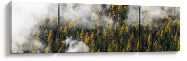 Obraz lasu w chmurach (170x50 cm)