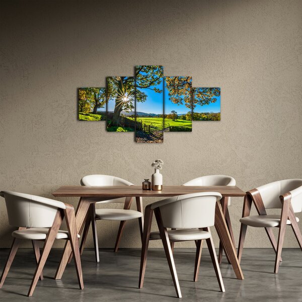 Obraz - widok pola (125x70 cm)