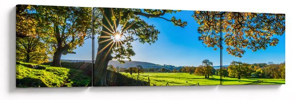 Obraz - widok pola (170x50 cm)
