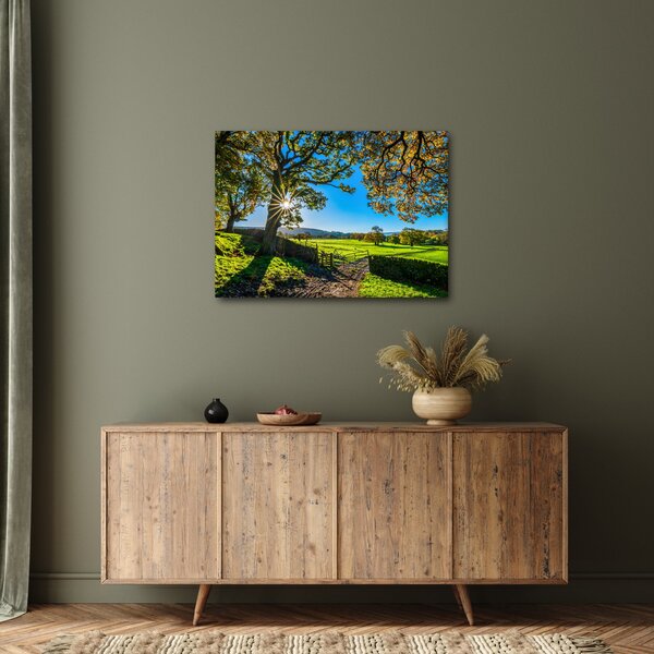 Obraz - widok pola (70x50 cm)
