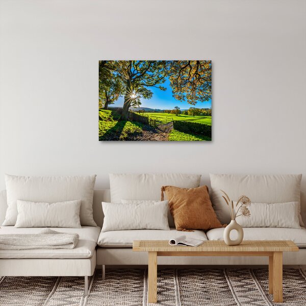 Obraz - widok pola (70x50 cm)