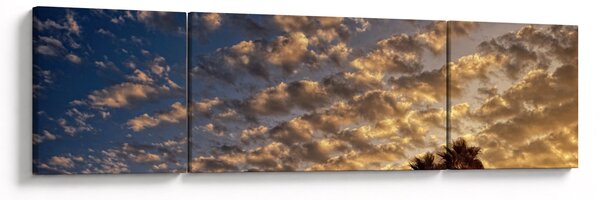 Obraz - palmy pośród chmur (170x50 cm)