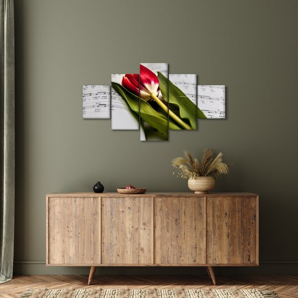 Obraz czerwonego tulipana (125x70 cm)