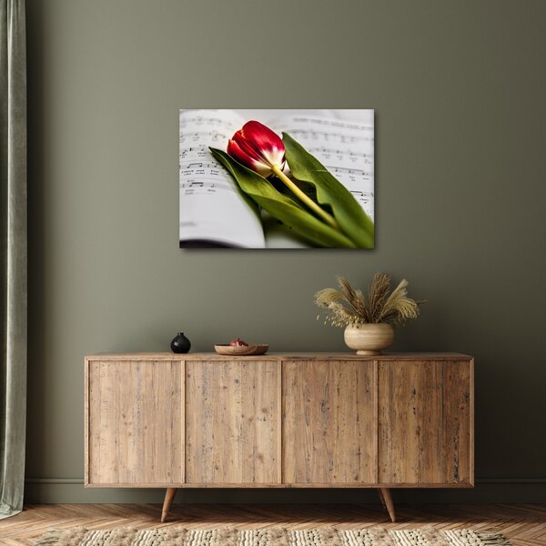 Obraz czerwonego tulipana (70x50 cm)
