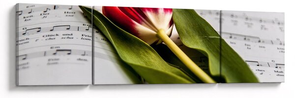 Obraz czerwonego tulipana (170x50 cm)