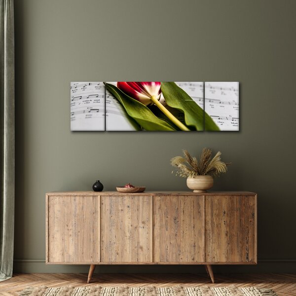 Obraz czerwonego tulipana (170x50 cm)