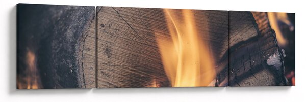 Obraz płonącego drewna (170x50 cm)
