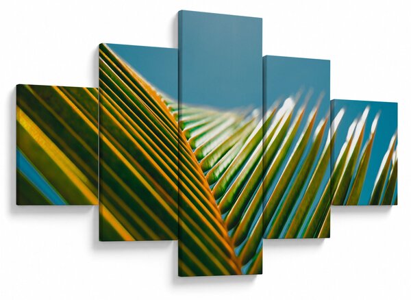 Obraz - Detal liścia palmowego (125x70 cm)