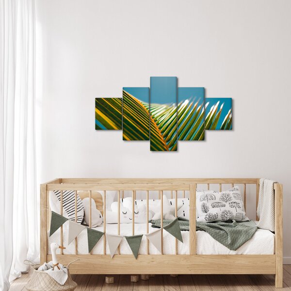 Obraz - Detal liścia palmowego (125x70 cm)